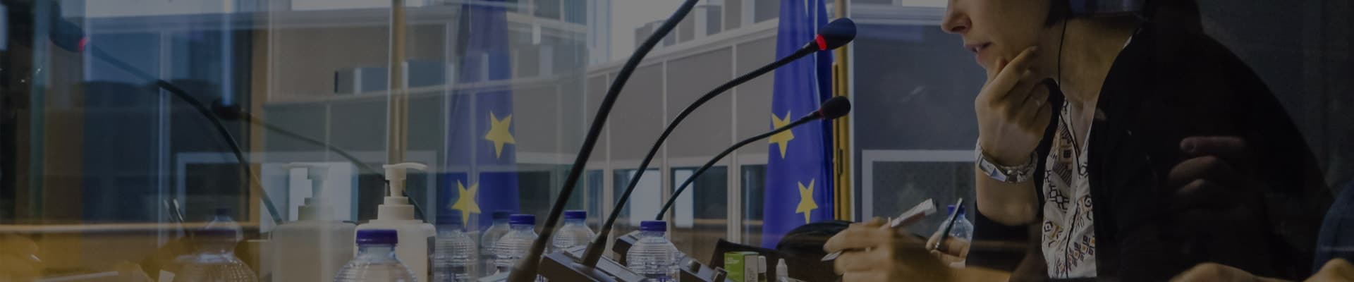 Simultaneous Translation